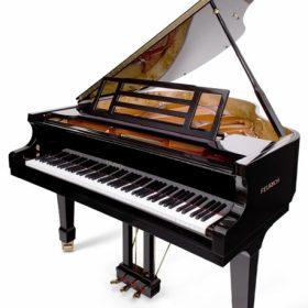 Роял FEURICH 151 Professional