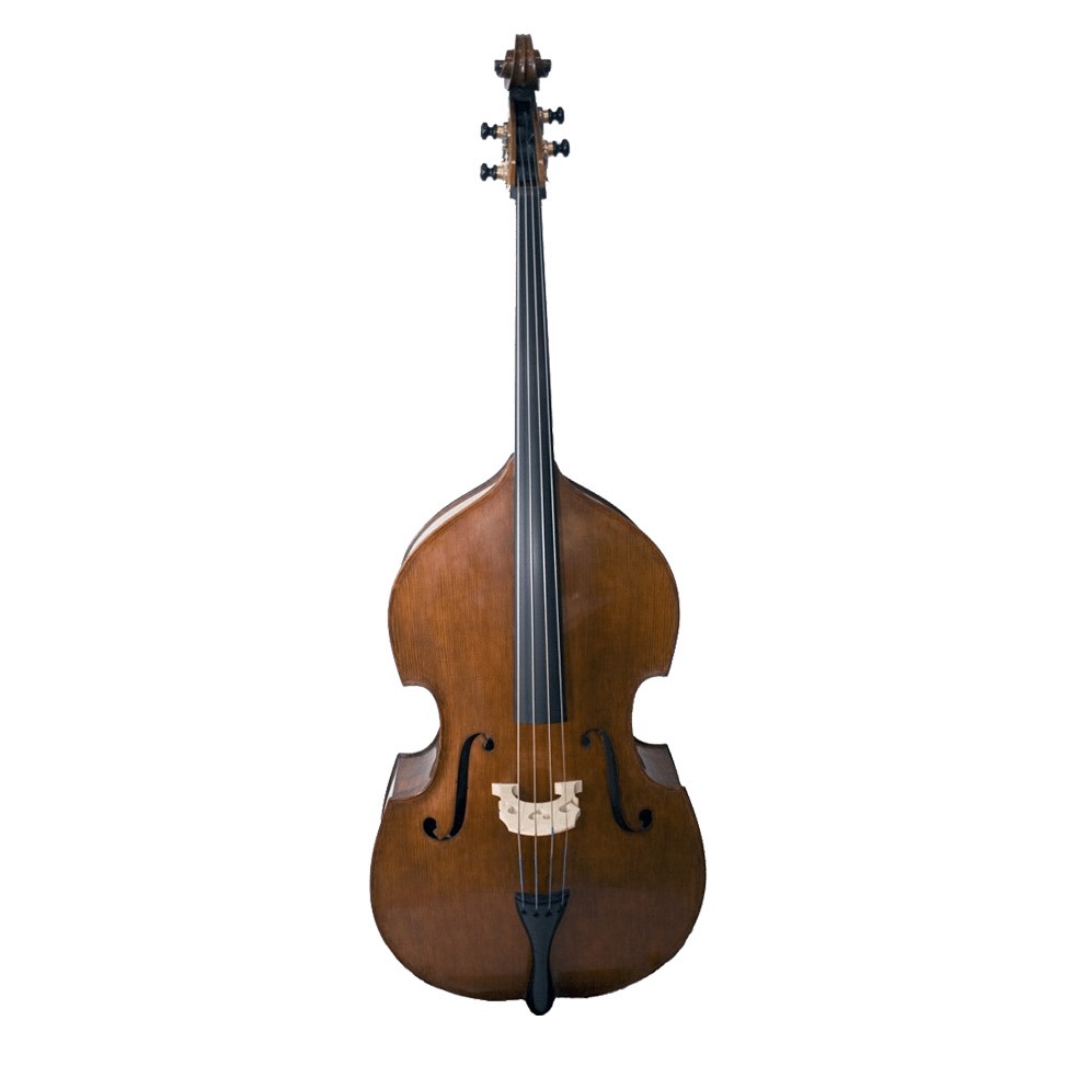 professional-gamba-double-basses-0 Контрабас Hora Academy Gamba (B300) - Image 1